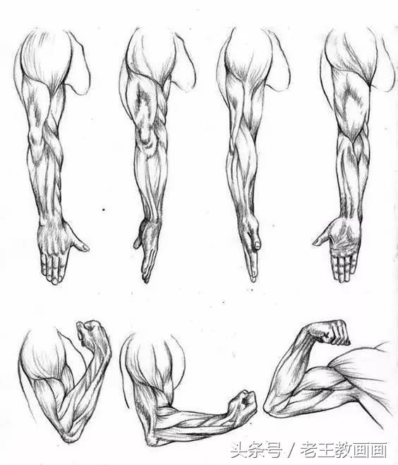 教100个零基础小白画画,100个适合零基础学习的画画教程