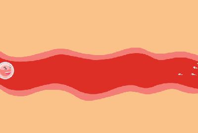 夏天怀孕备孕注意什么,备孕看过来这些受孕小妙招赶紧get