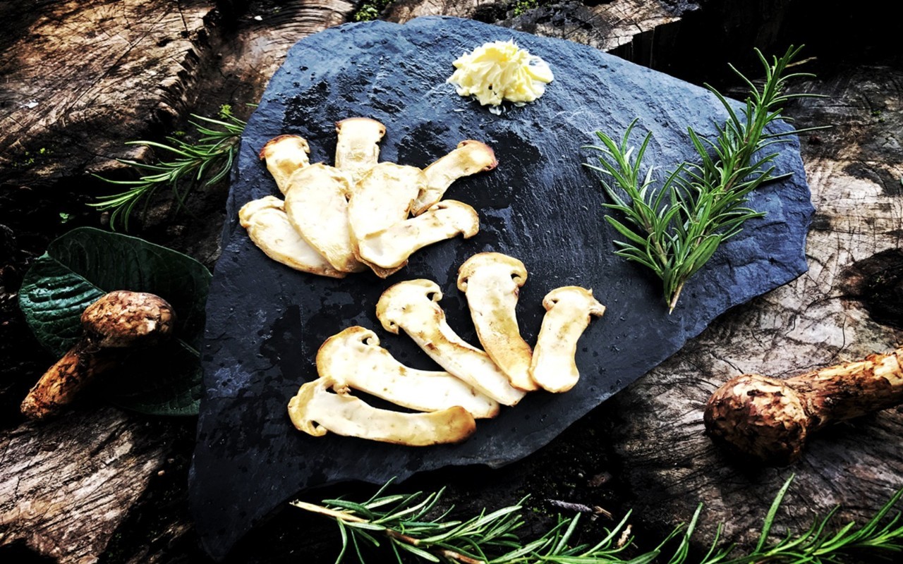 为心中的荒，填一座雪山