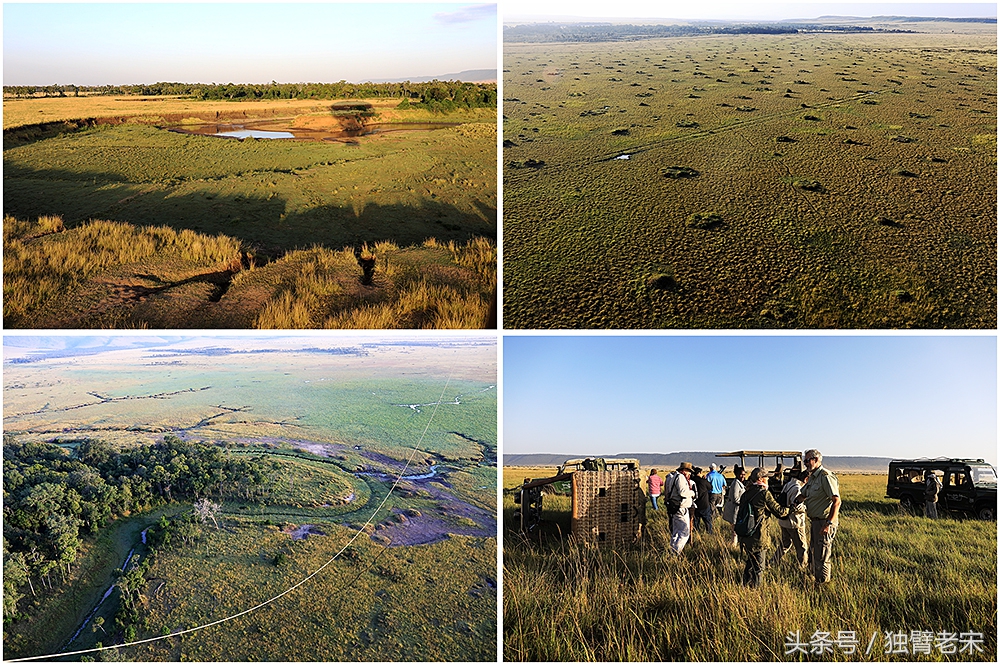 肯尼亚动物大迁徙旅游,肯尼亚迁徙之旅