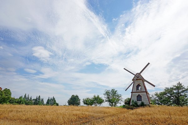 浙江嘉善大云旅游,嘉善大云周末玩的地方推荐