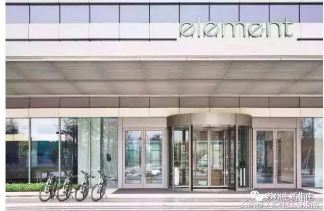 撸猫撸狗好去处苏州,苏州可以撸猫的园