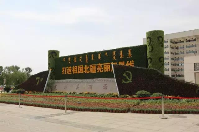 醉美西城｜“城在绿中人在景中”探访绿荫之下的回民区