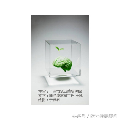 脑偏瘫康复训练视频大全,脑卒中2-3期康复训练