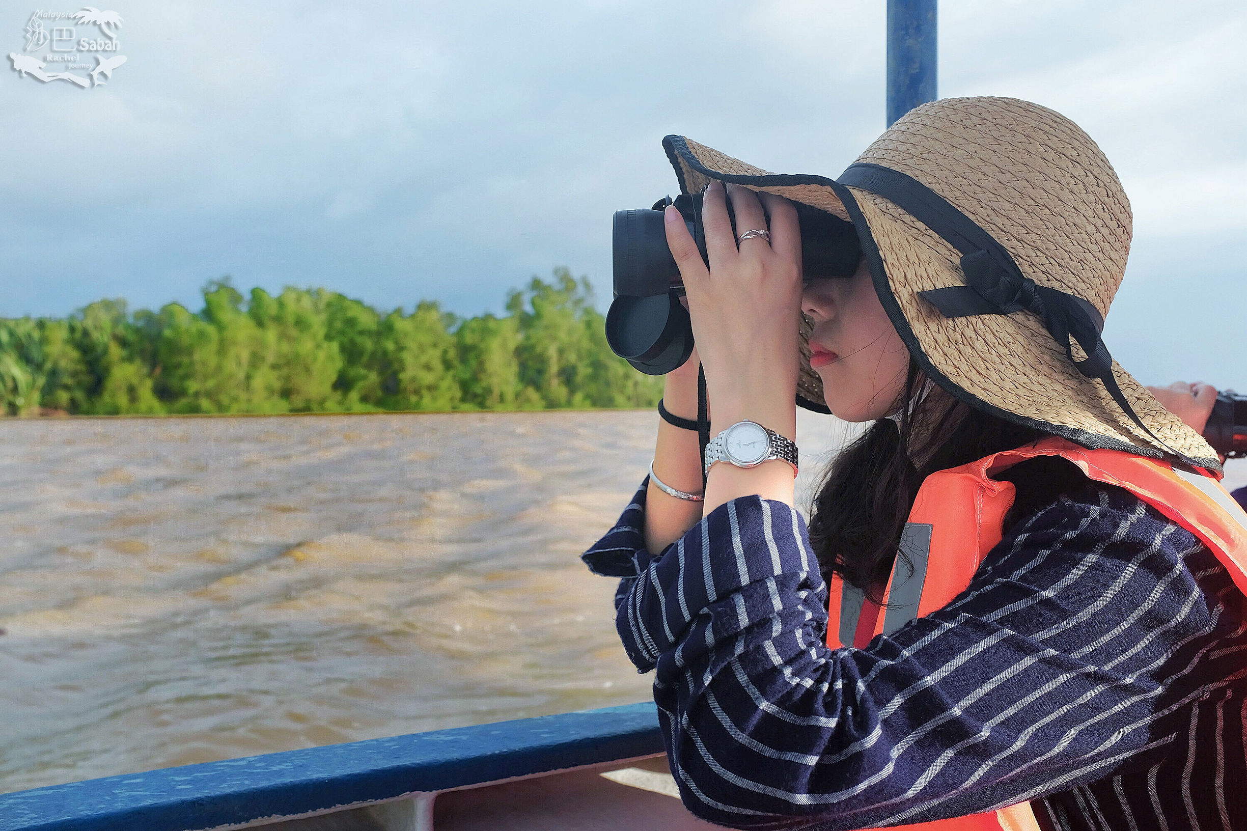 热带雨林是毒还是美威士顿红树林里有怎样的奥秘