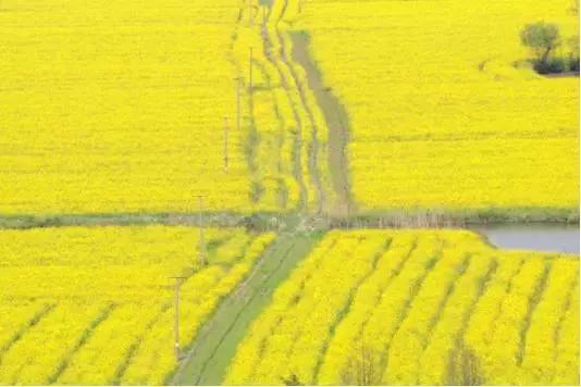 怎么用好70-200mm镜头,70mm-200mm性价比镜头推荐