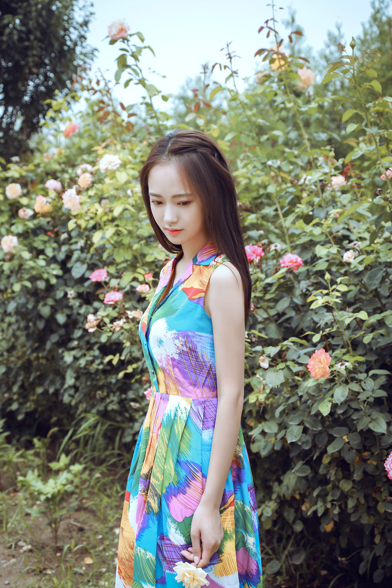 围屋里的小姑娘,木屋里的小姑娘