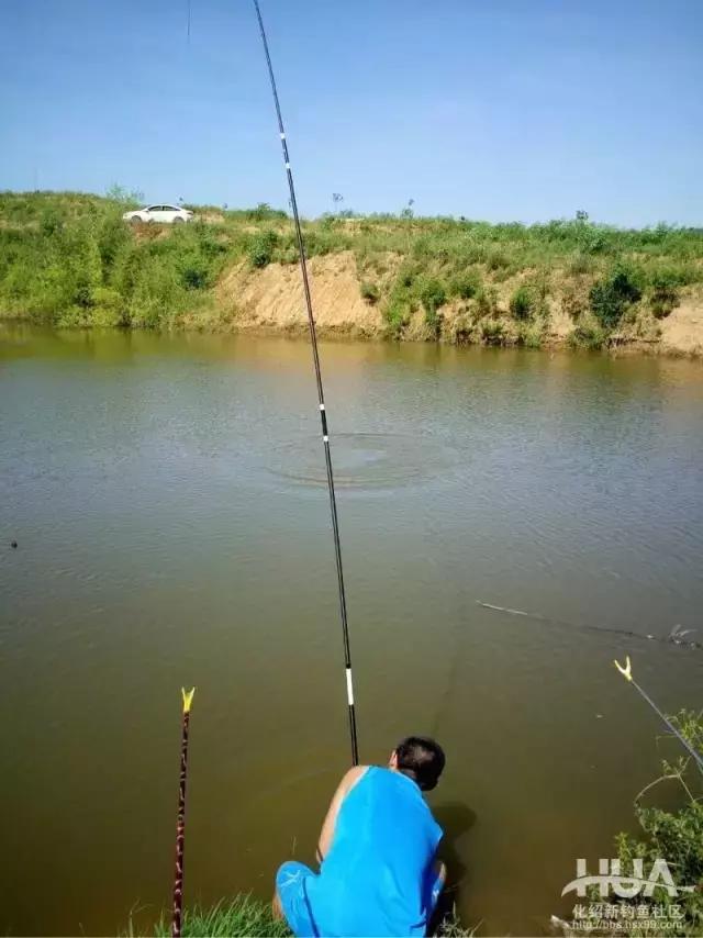 大物杀手鱼竿,大物一味鱼竿