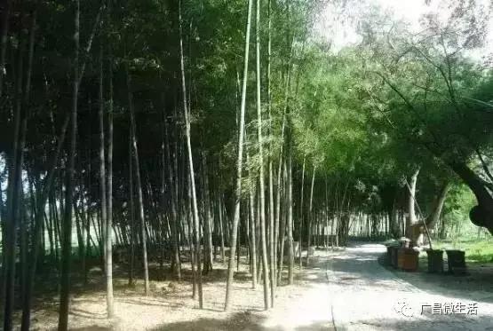 广昌最著名的景点,广昌避暑