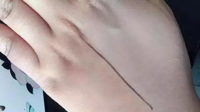 补妆气垫遮瑕持久不脱妆网红推荐,出门不脱妆补妆必备好物之气垫篇