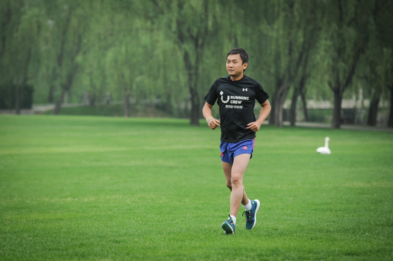 迈腾经济模式和标准模式哪个省油,迈腾怎么开启经济模式19款