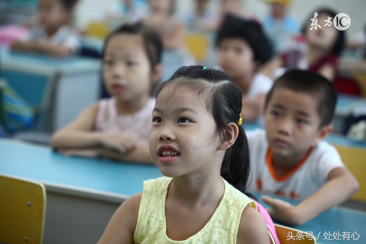小学生家长经验材料,小学一年级必备满分资料