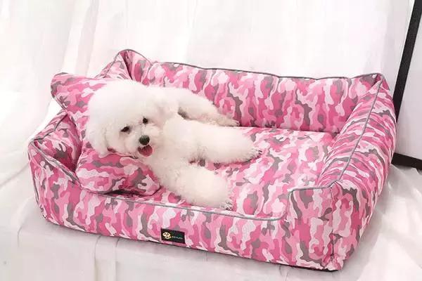最好看的狗狗床,夏季狗专用床