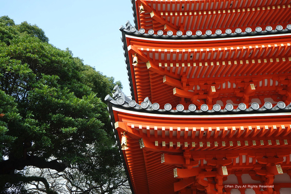 日本九州篇福冈,日本九州7天旅游攻略推荐