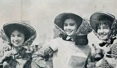 他们选择人迹稀少的那一条|朱天文读《无人是孤岛》