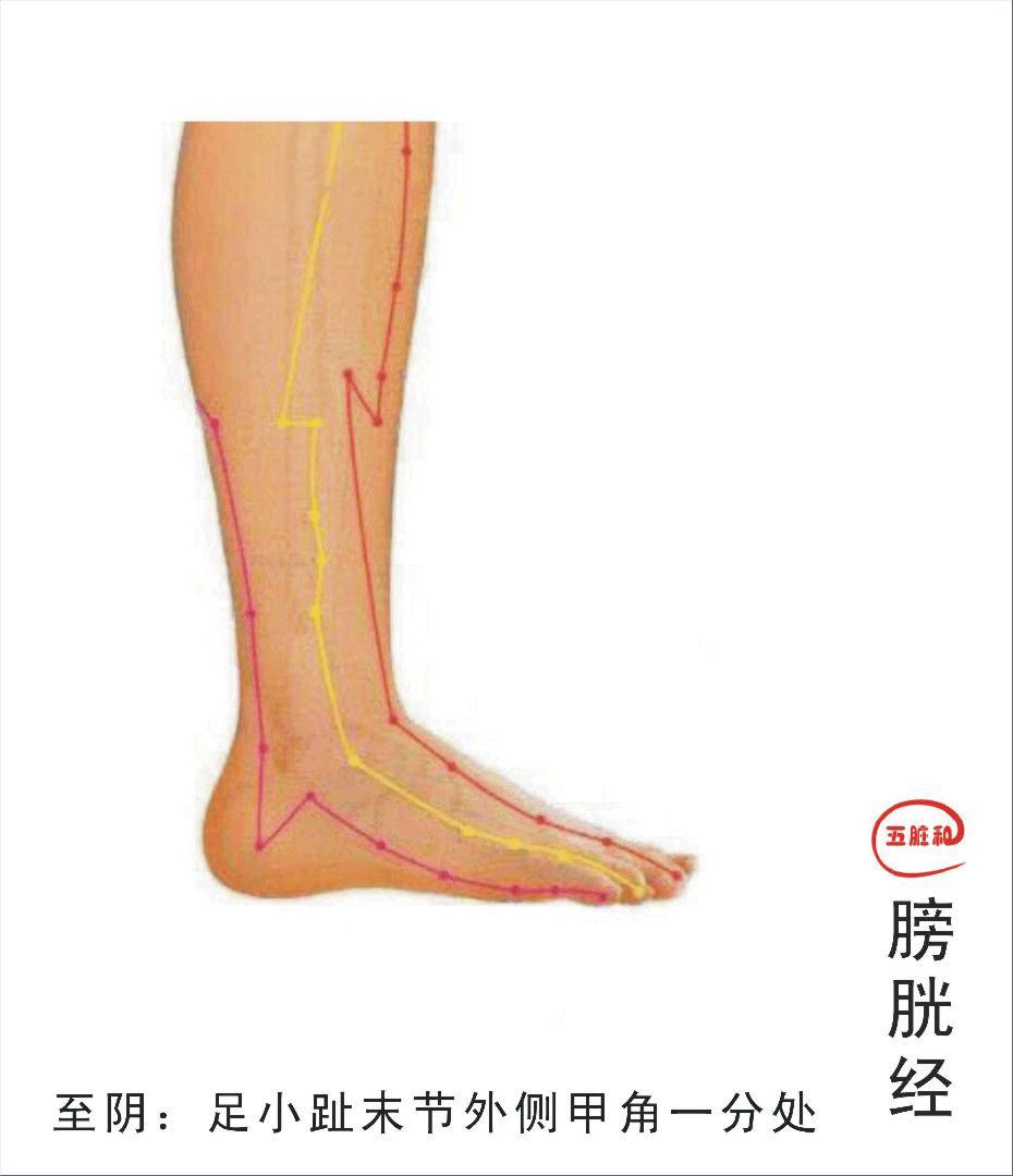 中医治疗疼痛的针灸方法,针灸治疗各种疼痛的穴位