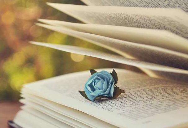 会计从业证会计基础练习题,全面解读会计从业考试试题趋势