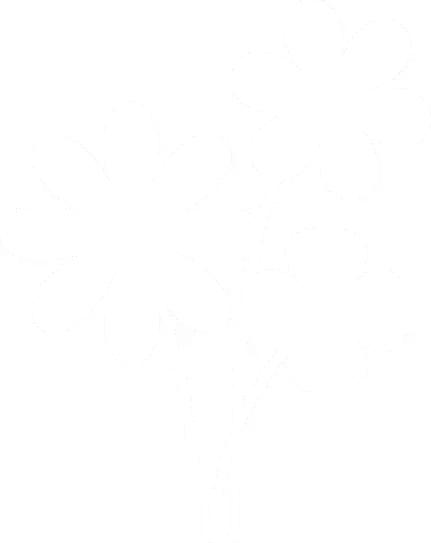 六安最新“野菜宝典”7种野菜，13种时令蔬菜，你都认识吗？