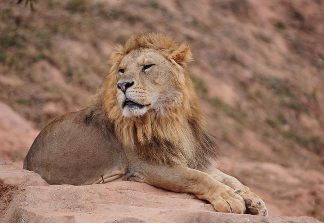 西游记沙和尚演过哪些配角,西游记中的配角都有哪些