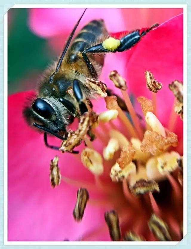 CMPA|2016年3月17日编辑推荐作品