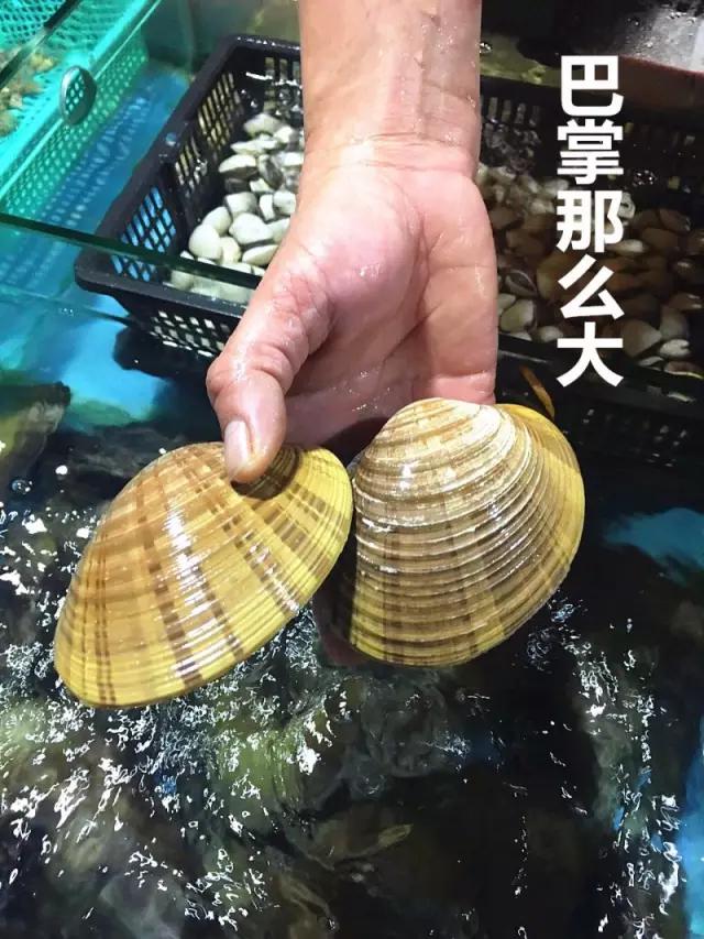 必须曝光这家店,寻味广东东莞30年老字号名店