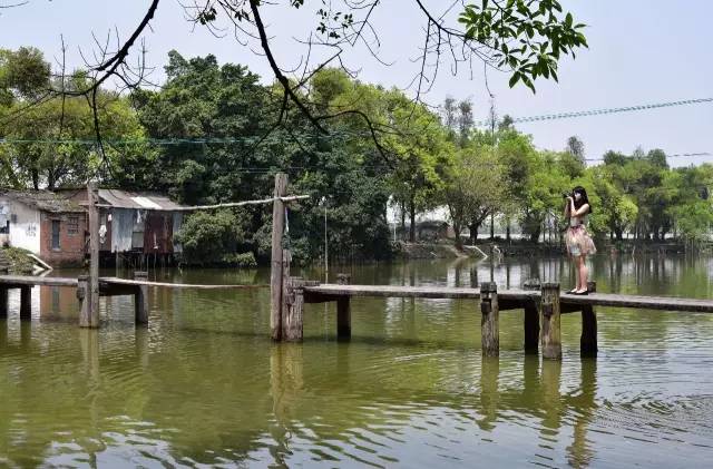 威虎山雪村入选中国最美村镇50强,全国最美县城评选结果