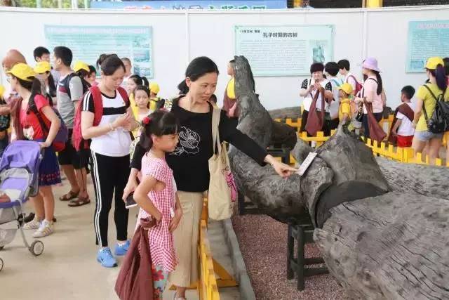 东莞观音山亲子游,观音山六一亲子游