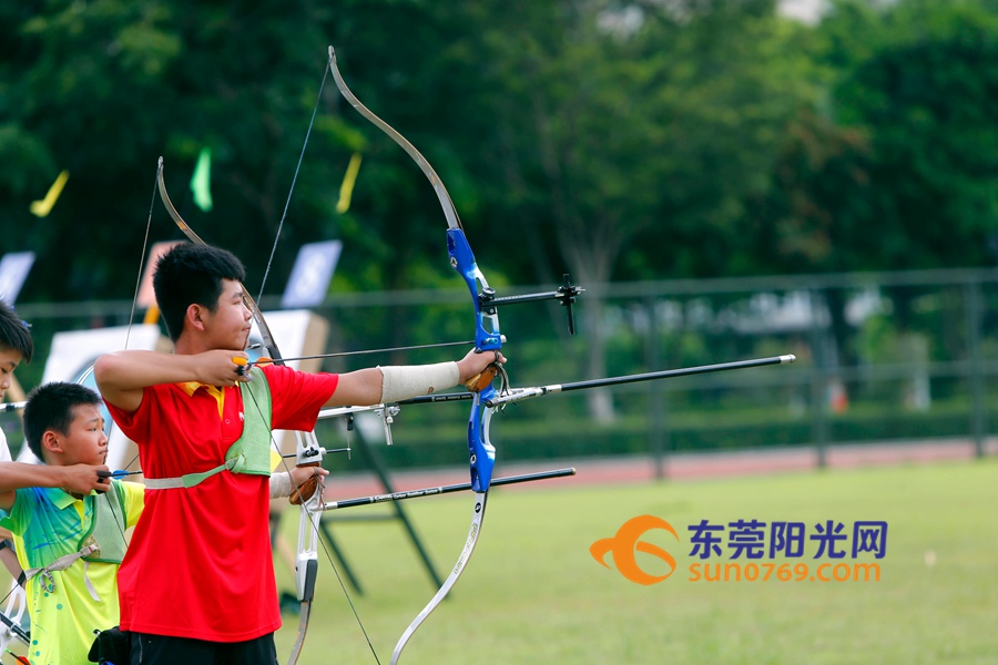 东莞第九届运动会,第九届东莞市市运会