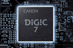 飞入寻常百姓家阅读理解,飞入寻常百姓家介绍