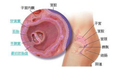 孕晚期旅行日记,孕中期终于可以去旅行了