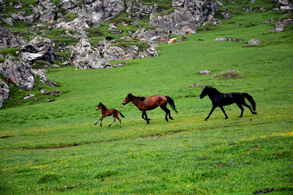 行者无疆-6月乌孙，漂洋过海为圣湖，翻山越岭因初心