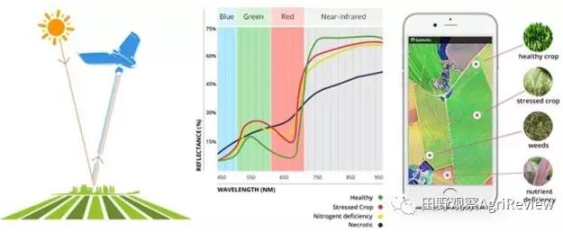 全球最强农业公司排名榜最新,农业创业十大风口企业