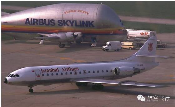 变异变形飞机,变异飞机鹦鹉