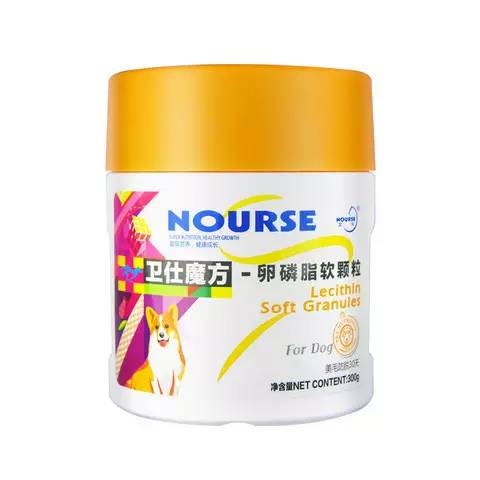 狗中美男子德牧,阿富汗猎犬最有气质的狗