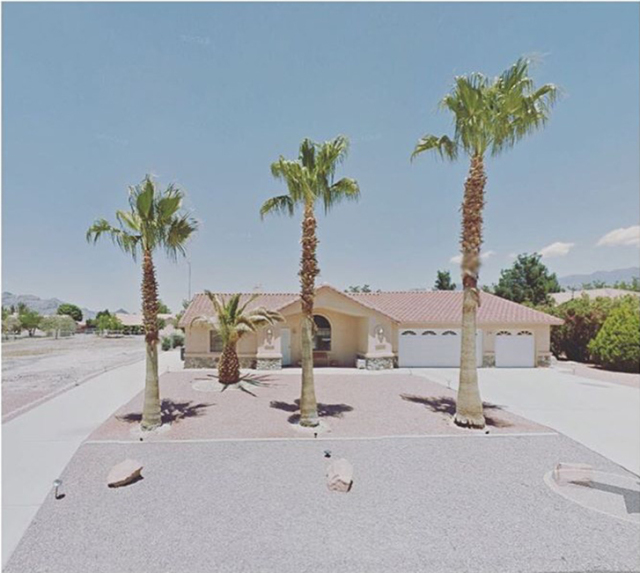 她宅在家里，却用27000张照片记录了与众不同的旅程