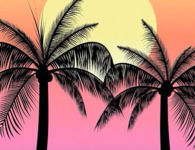 获北极光数百万美元投资的棕榈大道，如何实现每年3倍增长