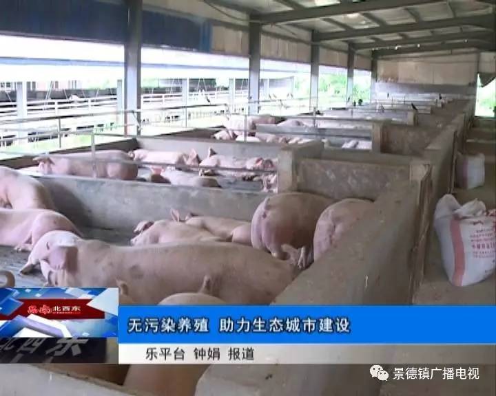 7月27日的国际新闻,六盘水7月27日的新闻