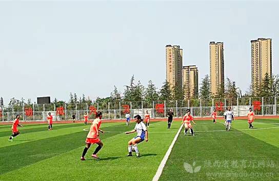 陕西省青少年校园足球联赛,2019-2020年陕西省大学生足球联赛