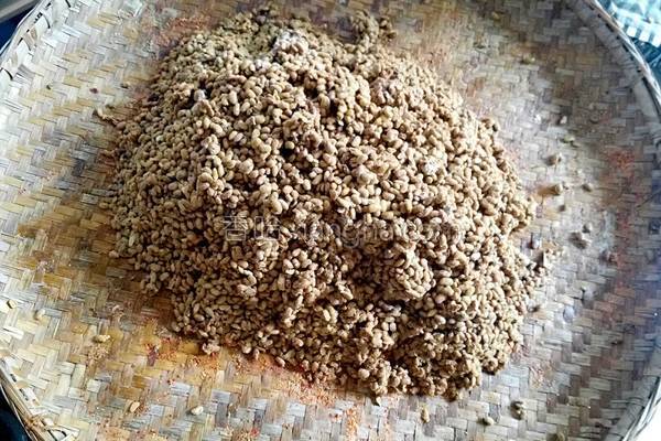 在家自做豆豉方法教程,怎样在家自制豆豉