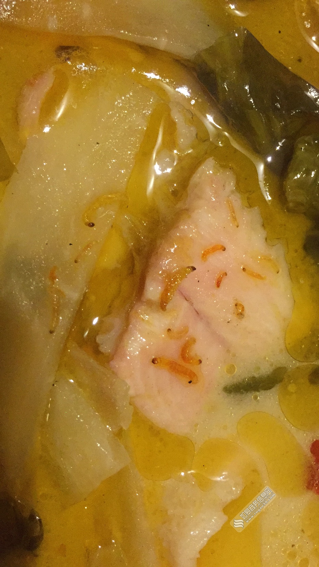 顾客故意说外卖有蛆,顾客称外卖里面发现蛆