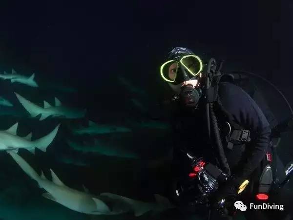 船宿推荐及价格,船宿推荐