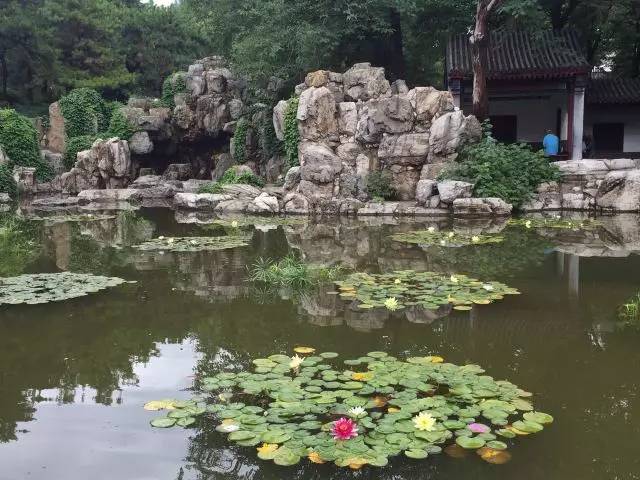 关于园区灭虫通知,昌平灭虫