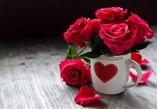 月季和玫瑰的区别在哪里呢,玫瑰与月季的区别在哪里