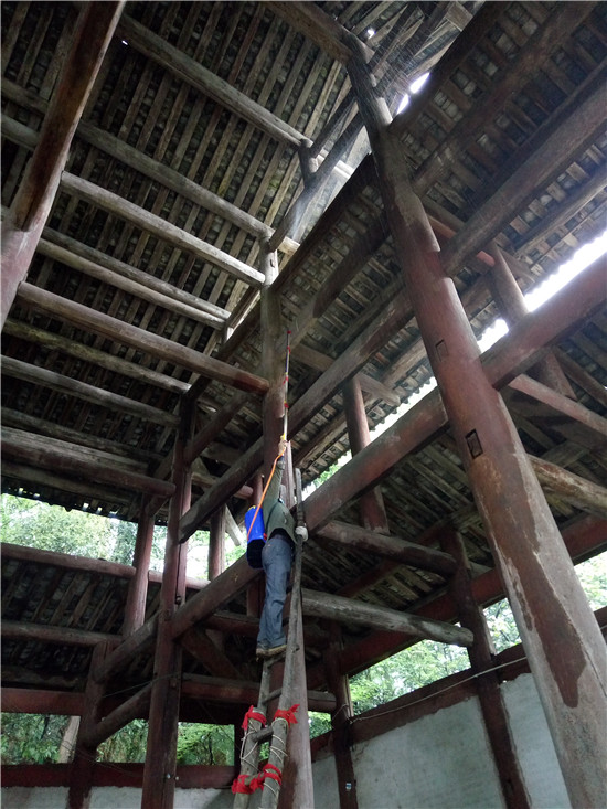 洪雅县白蚁防治所,洪雅国家级重点保护文物