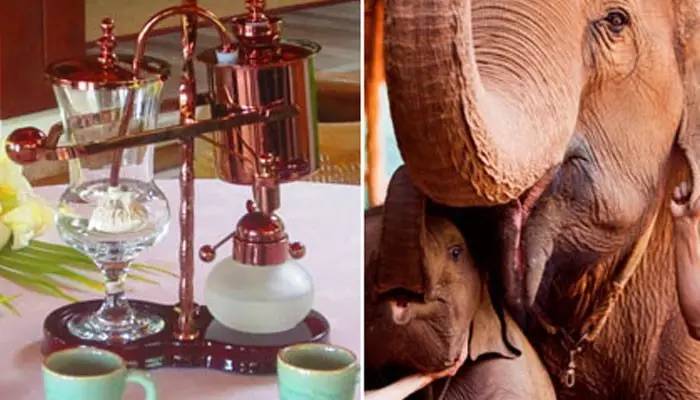 泰好食泰式融合菜小酒馆,泰好食泰式餐厅