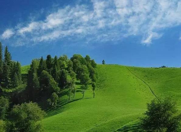 对不起，我去草原了，别再找我了……