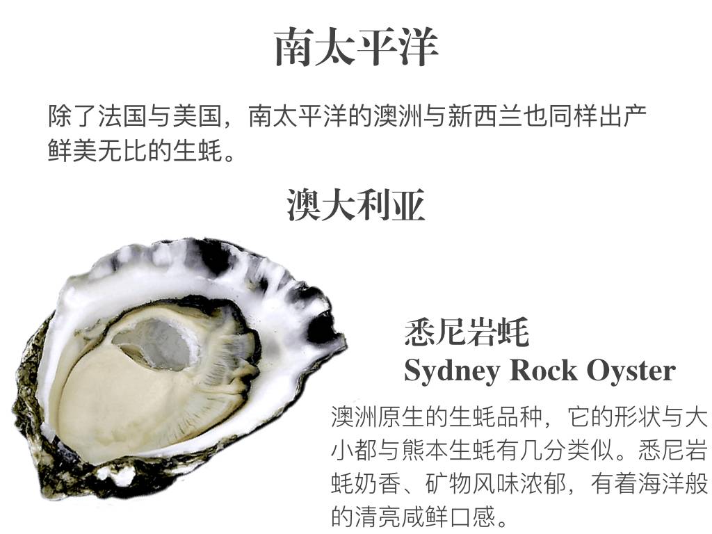 贝隆生蚝,贝隆生蚝和吉拉多生蚝哪种好