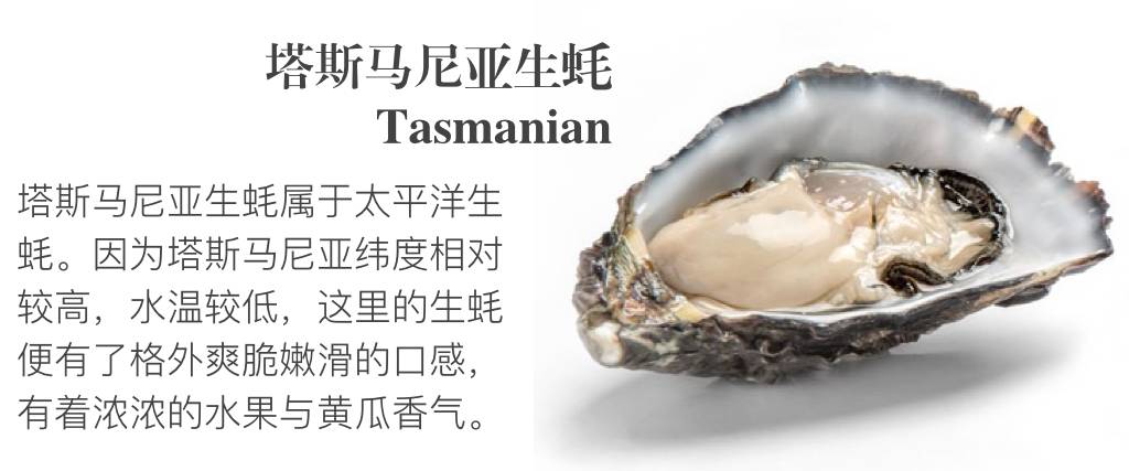 贝隆生蚝,贝隆生蚝和吉拉多生蚝哪种好