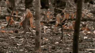 型不型｜远离这些禁区，颜值不爆表照样把妹