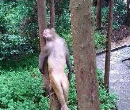 「笑多会怀孕」——老婆查岗，告诉她在医院，没毛病吧？